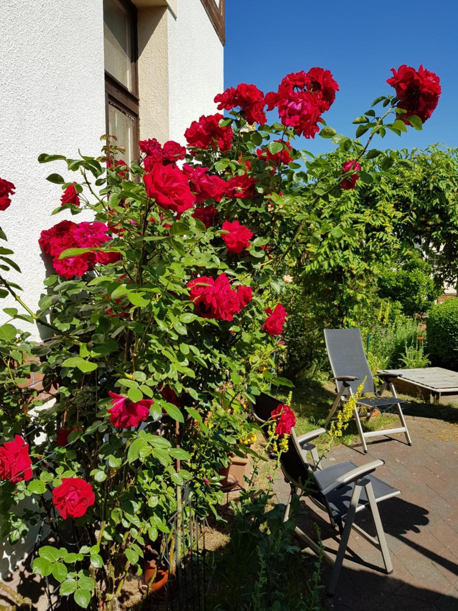 Villa Charlotte Bad Liebenstein Kültér fotó