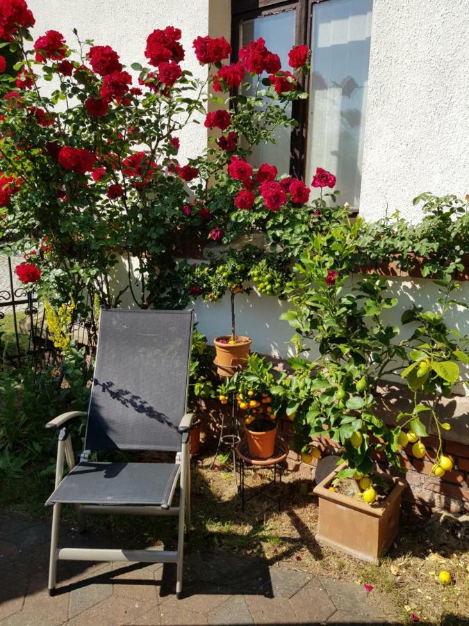 Villa Charlotte Bad Liebenstein Kültér fotó